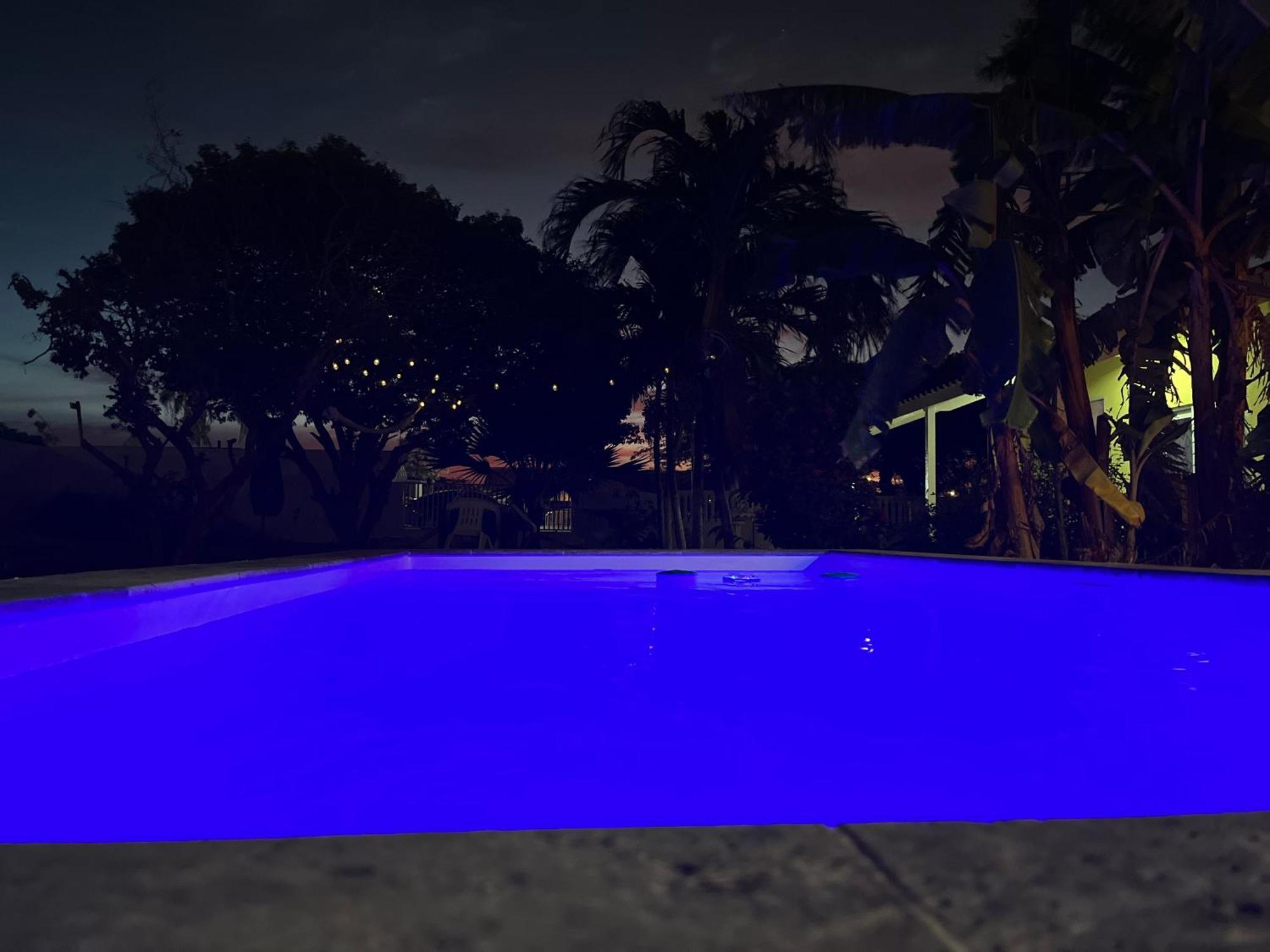 Bon Bini Kokolishi Hotel Willemstad Bagian luar foto