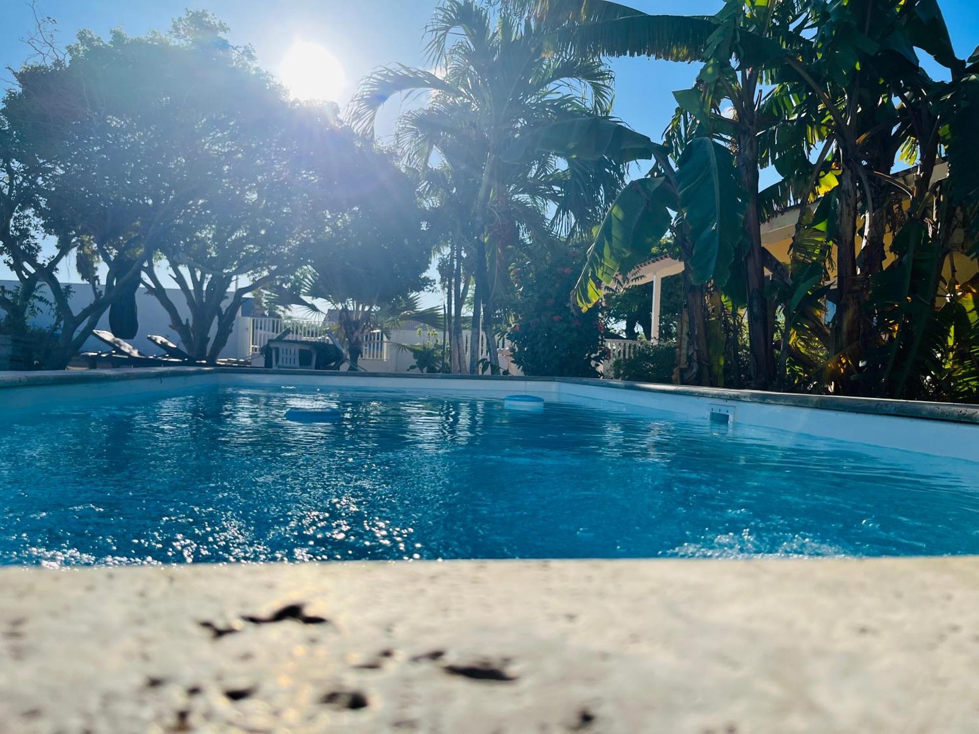 Bon Bini Kokolishi Hotel Willemstad Bagian luar foto